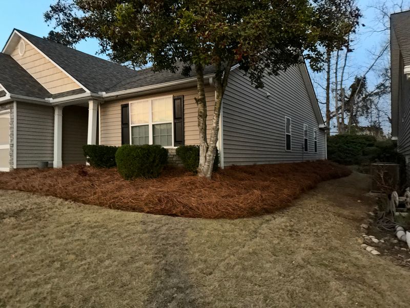 Mulch Installation