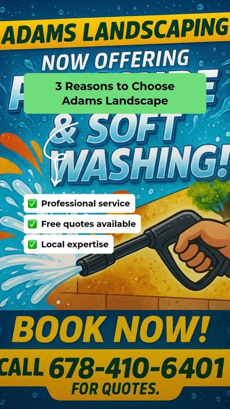 Property Maintenance