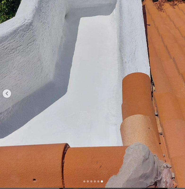 Foam Roofing