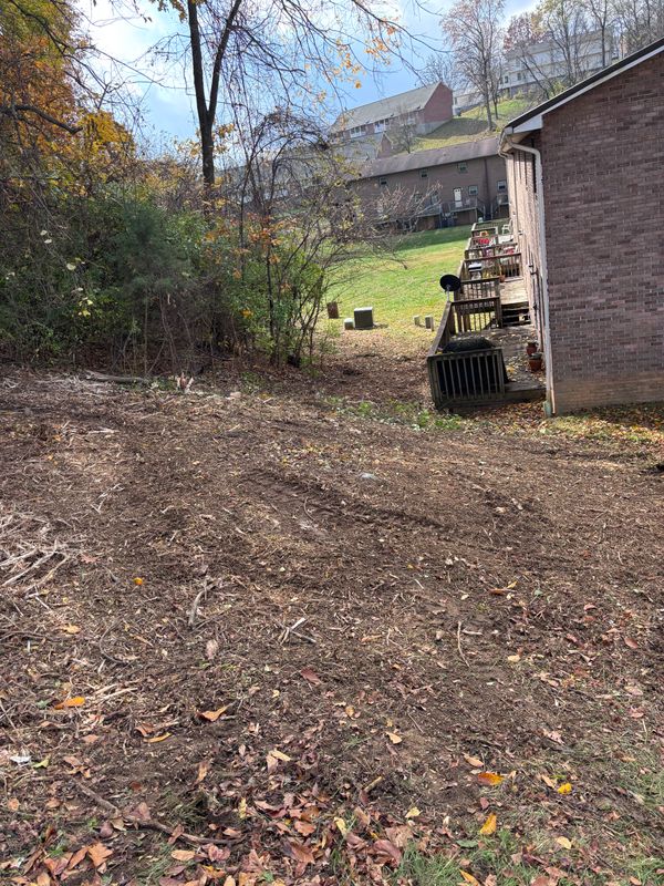 Forestry Mulching