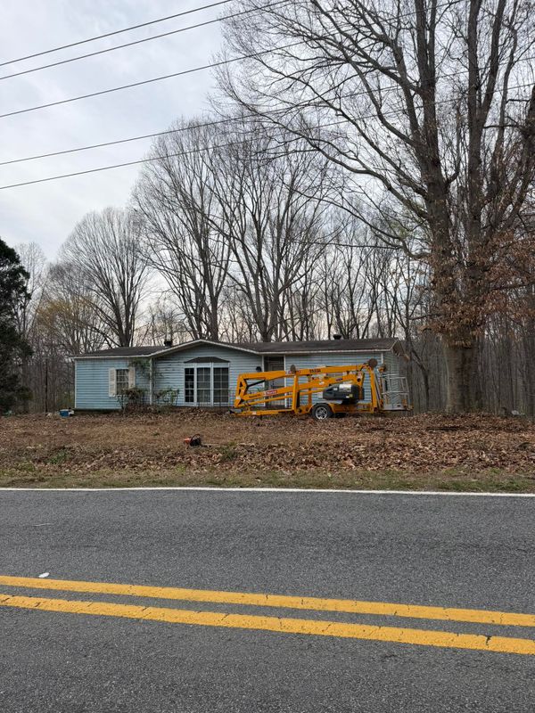 Tree Services