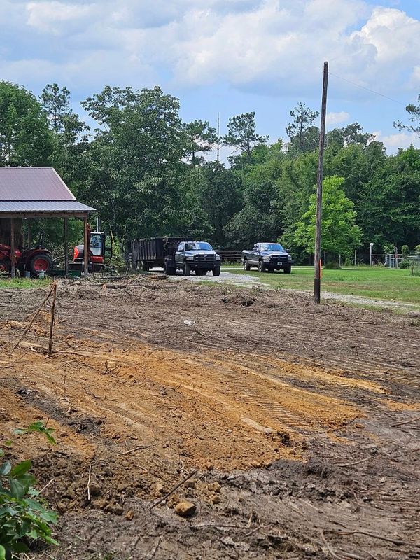 Stump Grinding