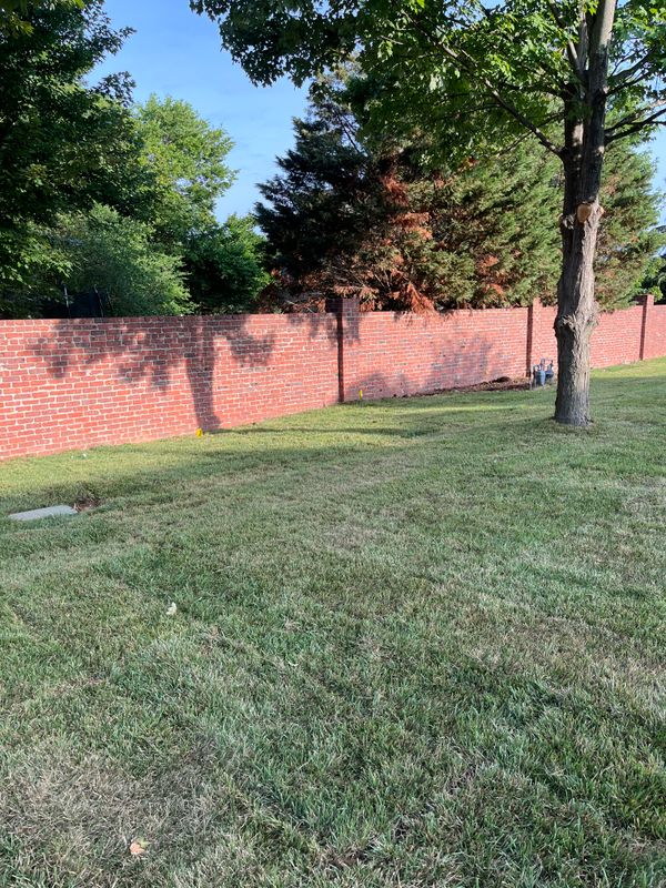 Our Work