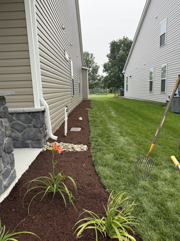 Shrub Trimming
