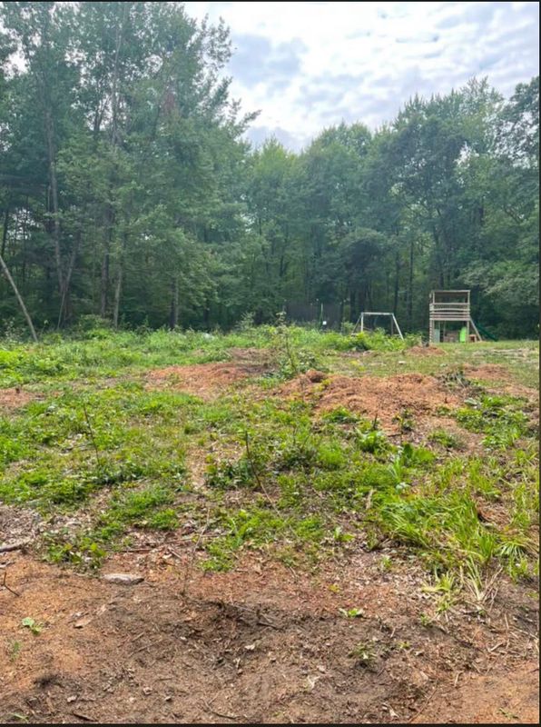 Land Clearing & Forestry Mulching