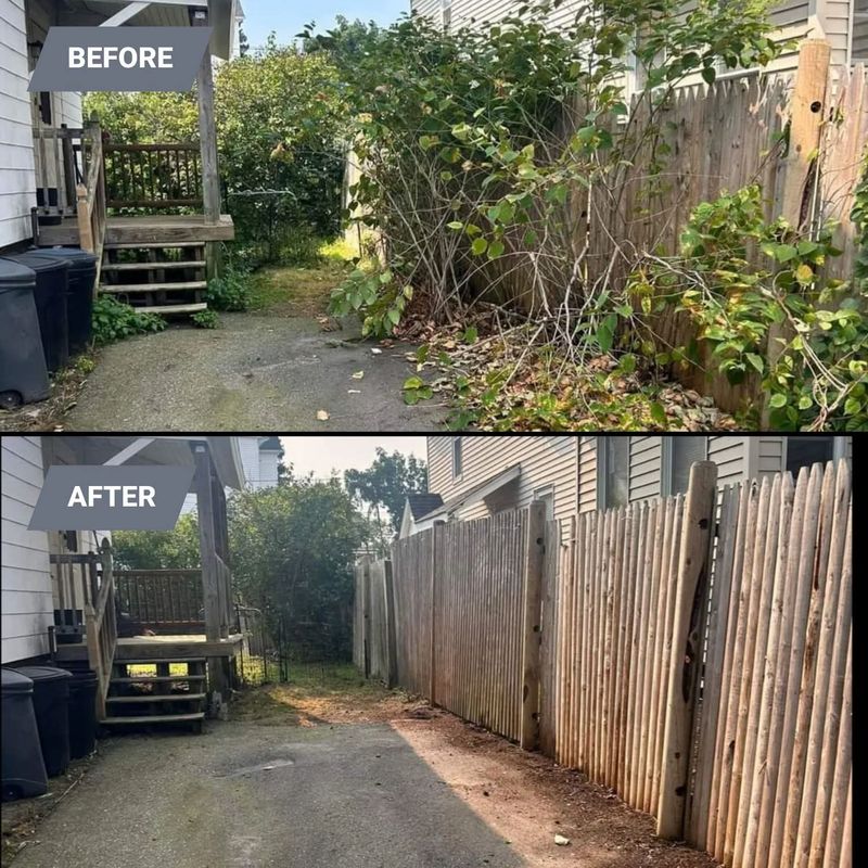 Junk Removal