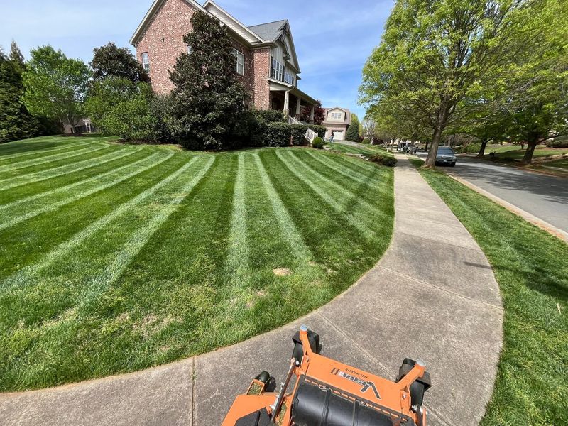Garden Maintenance