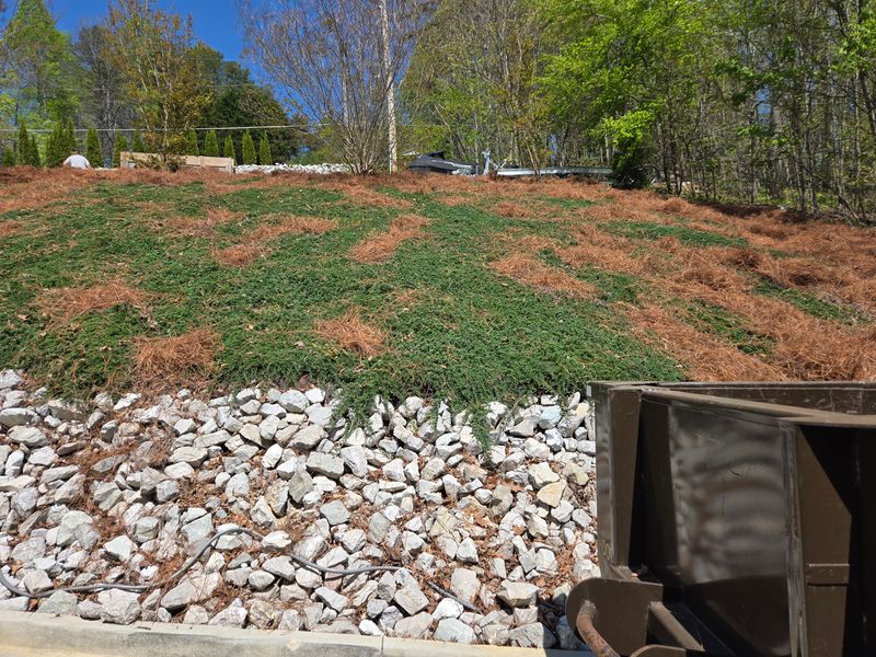 Mulch Installation