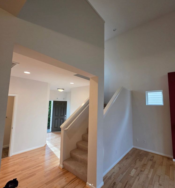 Basement Renovation