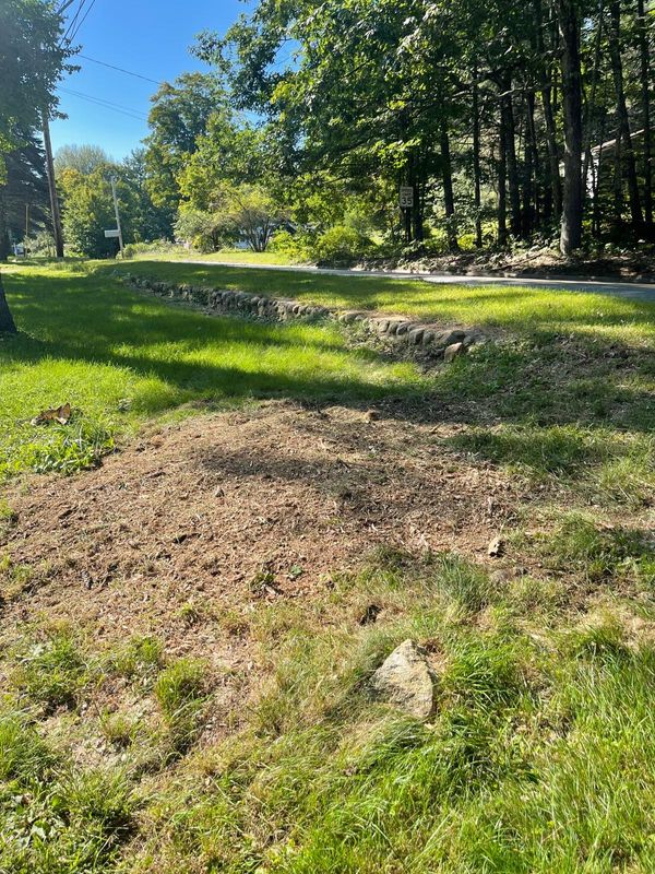 Stump Grinding 