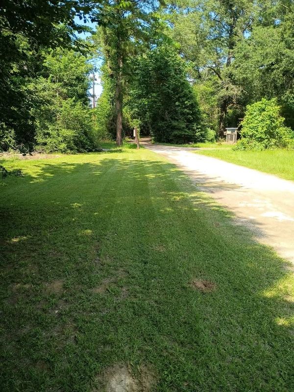 Lawn Mowing