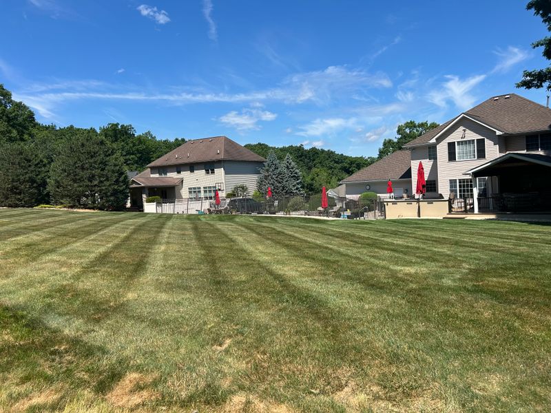 Lawn Maintenance