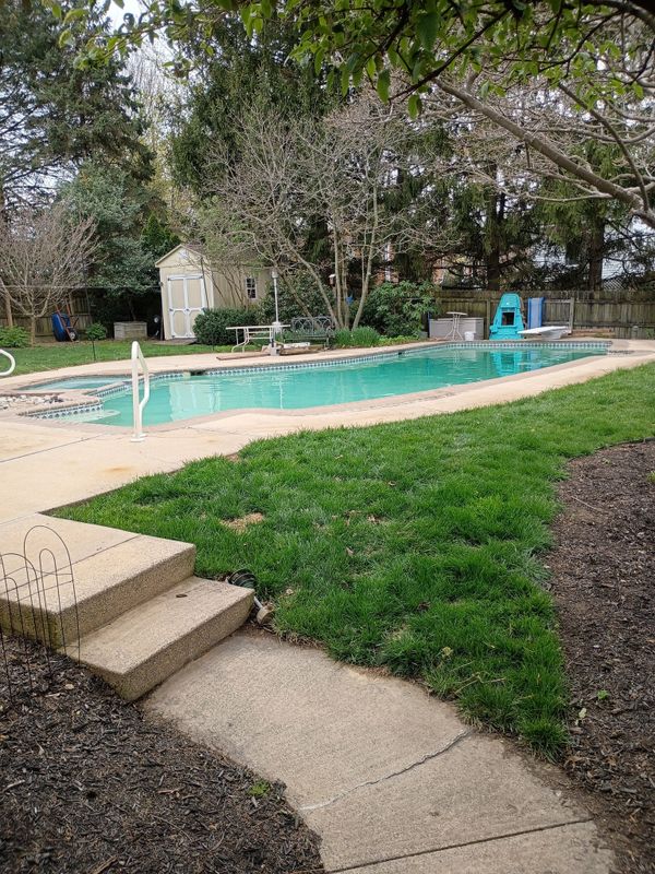 Pool Contractor