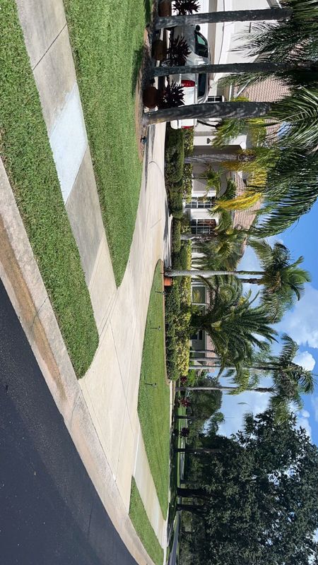 Lawn Maintenance