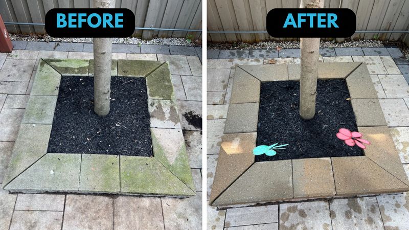 Pressure Washing