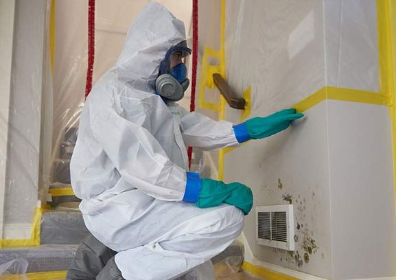 Mold Remediation