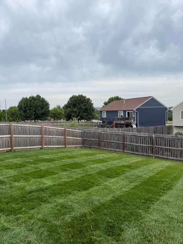 Lawn Maintenance