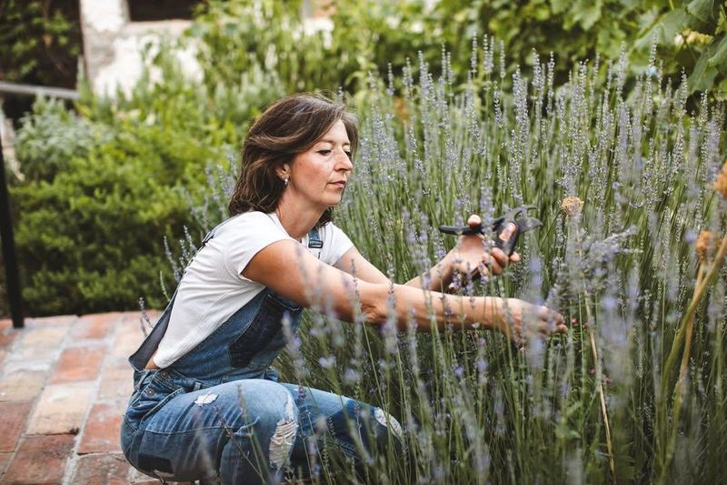 Landscape Design & Installation