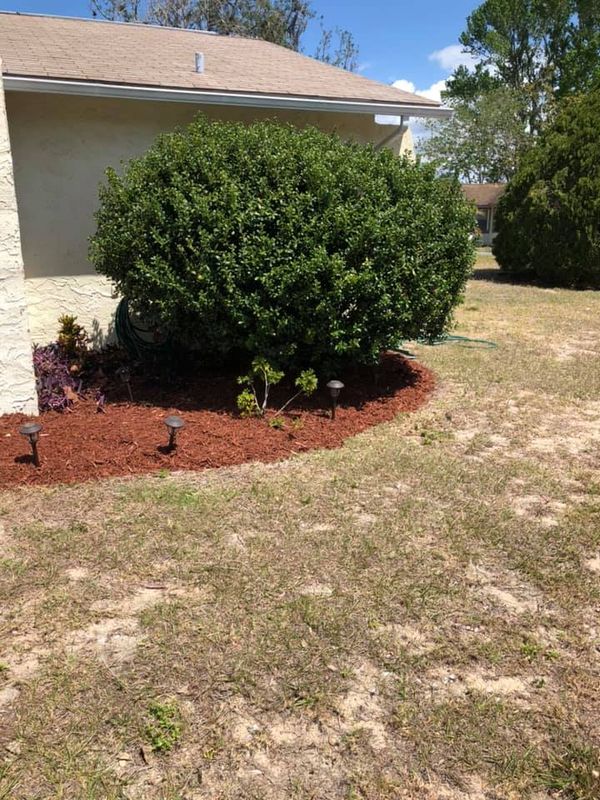 Landscaping