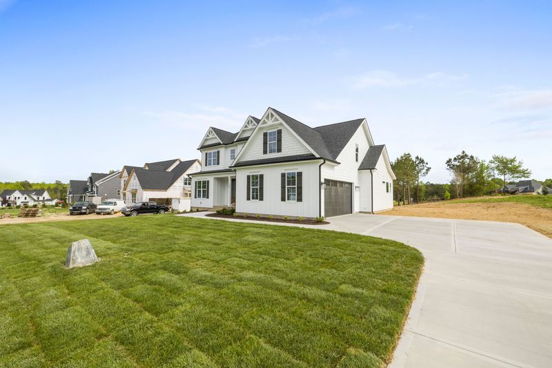 Lawn Renovation