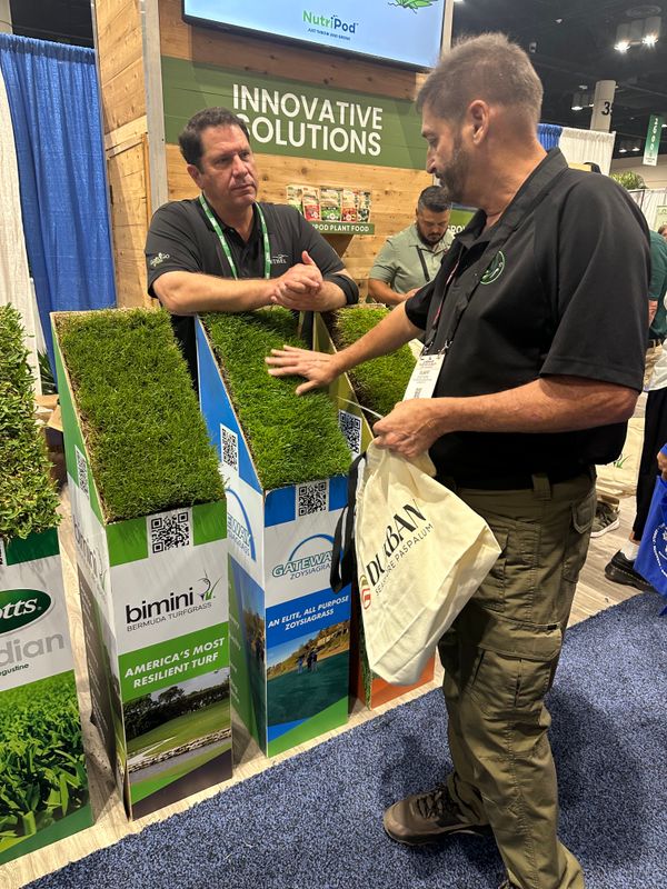 Sod/Artificial Turf