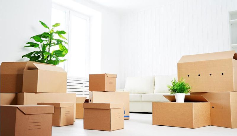 Move In / Move Out Cleaning