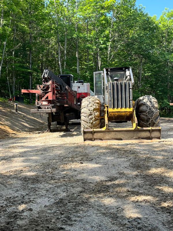 Stump Grinding and Removal