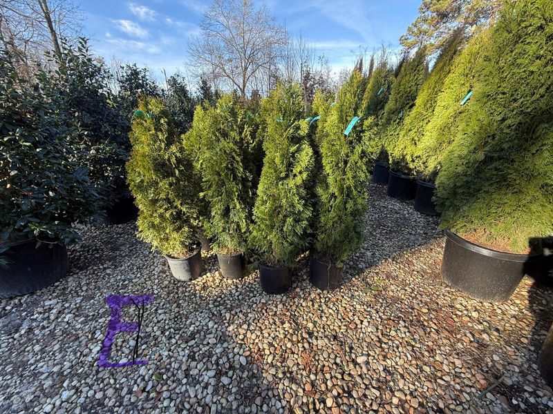 🏢 Commercial Landscape Installation