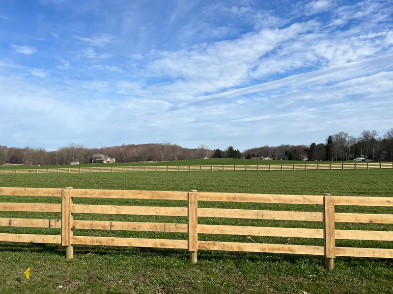 Fencing