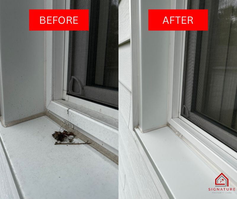 Window Cleaning