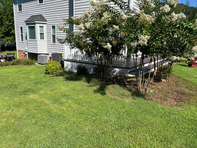 Lawn Maintenance