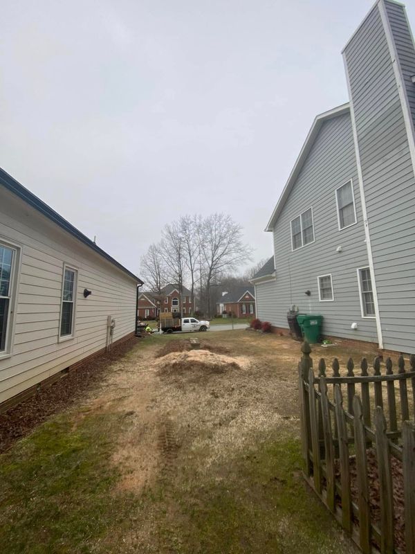 Stump Removal