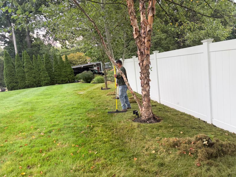 Lawn Maintenance