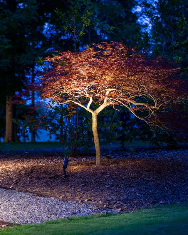 Lighting Installation & Repair