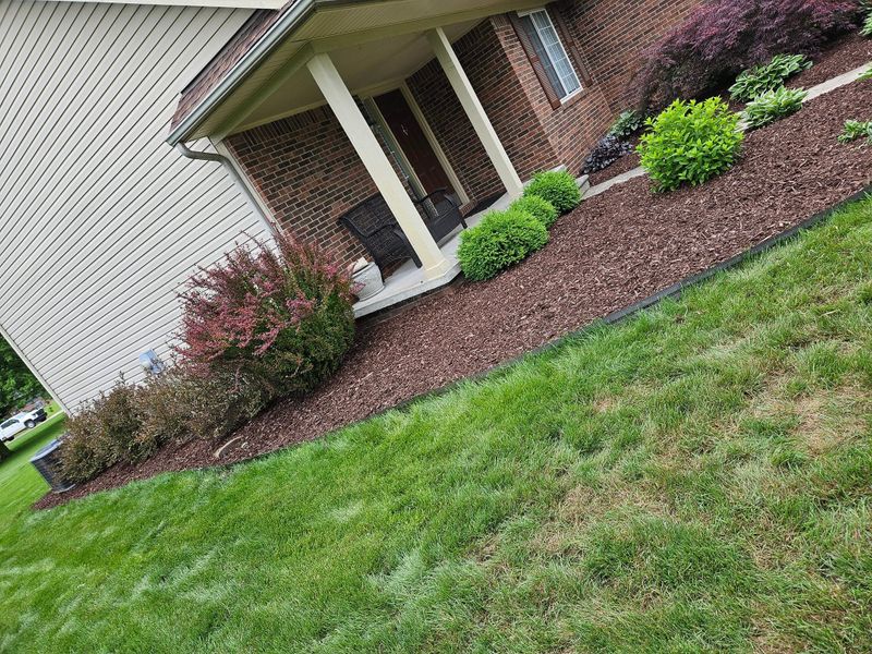 Shrub Trimming