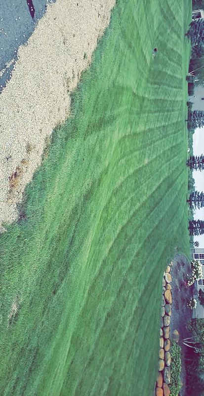 Lawn Care gallery