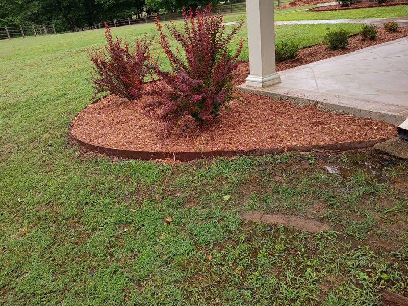 Landscape Design