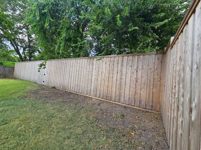 Fence Staining & Sealing