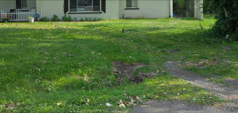 Residential Junk Removal