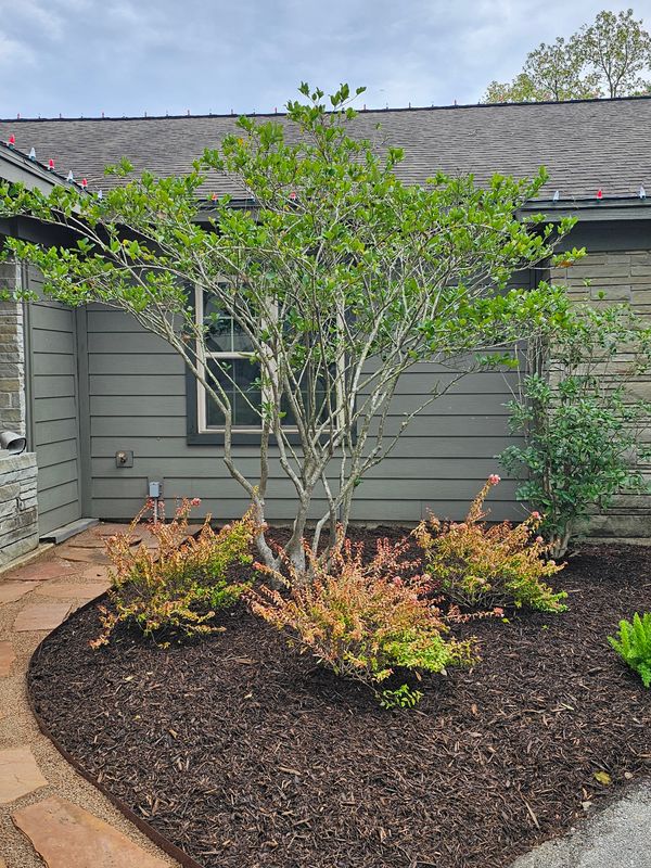 Mulch Installation