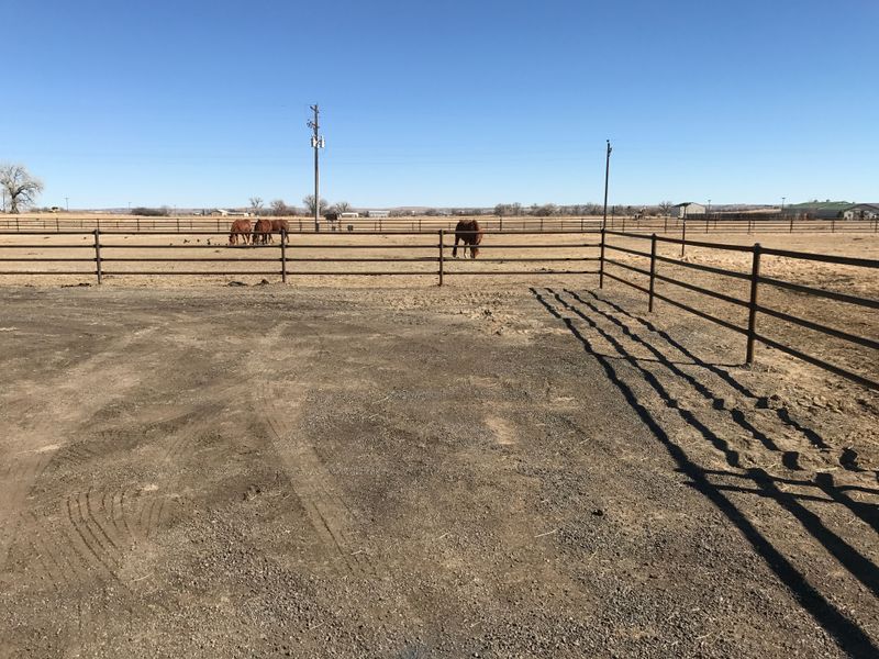 Pipe Fence