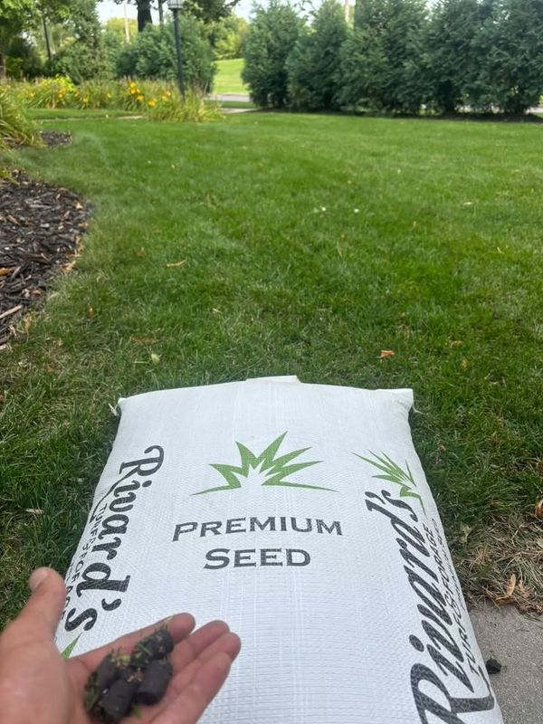 Lawn Renovations