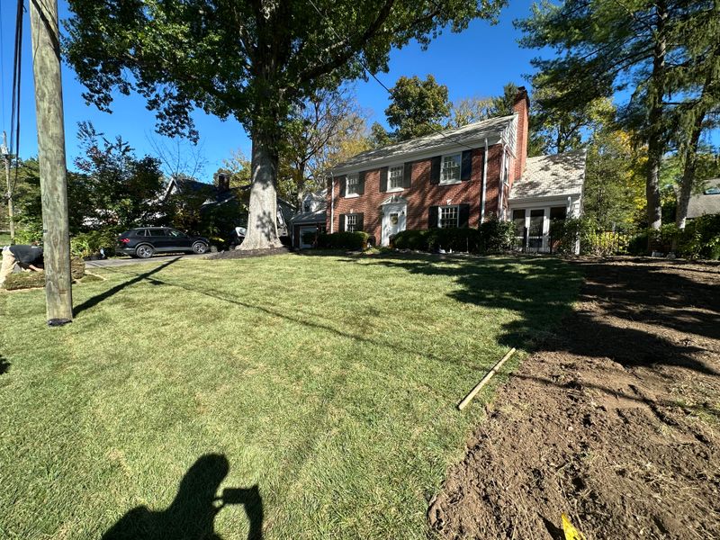 Residential & Commercial Excavation