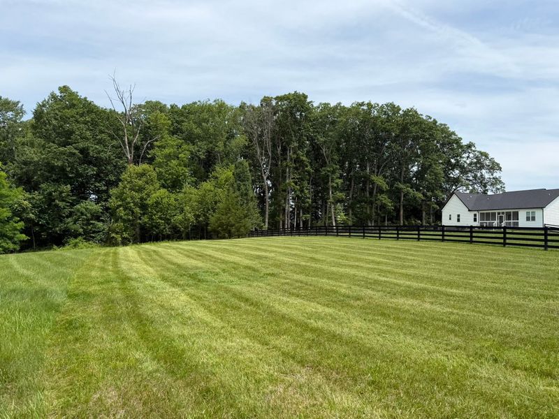 Lawn Maintenance