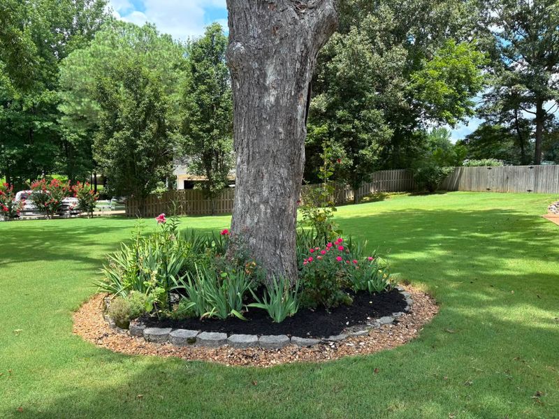 Landscaping