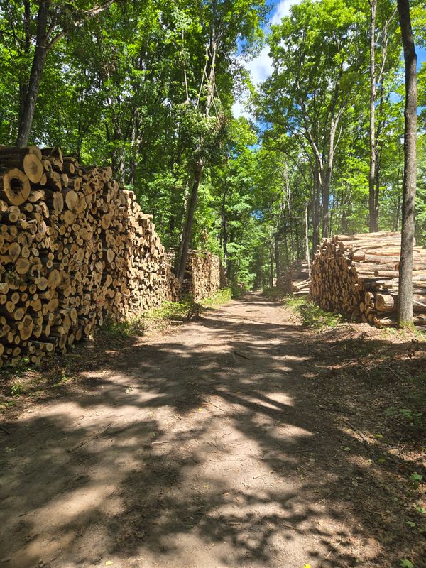 Firewood