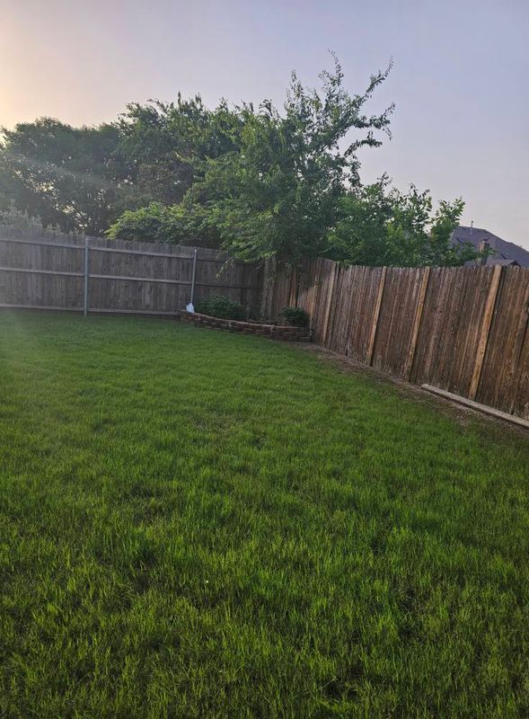 Lawn Maintenance