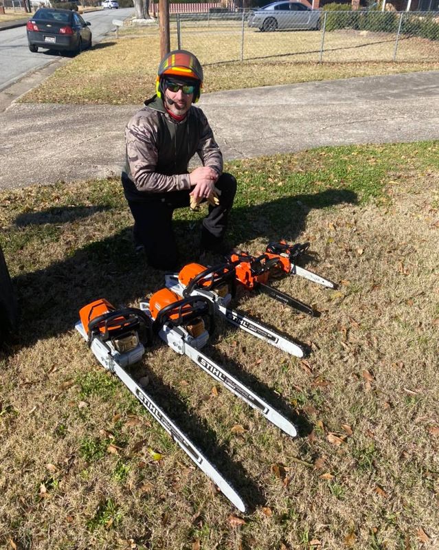 Tree Removal gallery