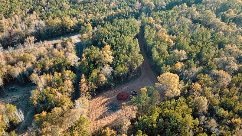 Forestry Mulching