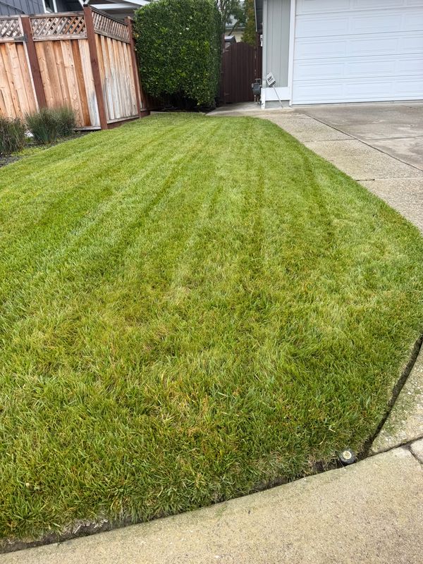 Lawn Maintenance